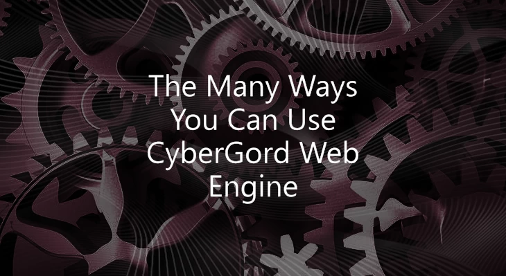 The Many Ways You Can Use CyberGord Web Engine
